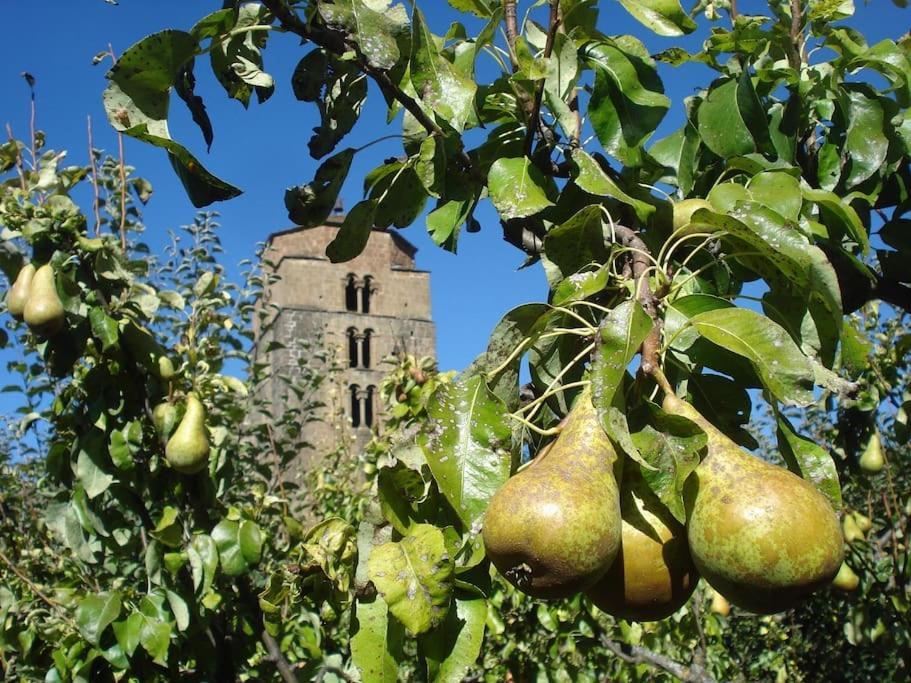 Santa Cruz de la Serós Casa Rural Barangua En El Pirineo Aragones מראה חיצוני תמונה