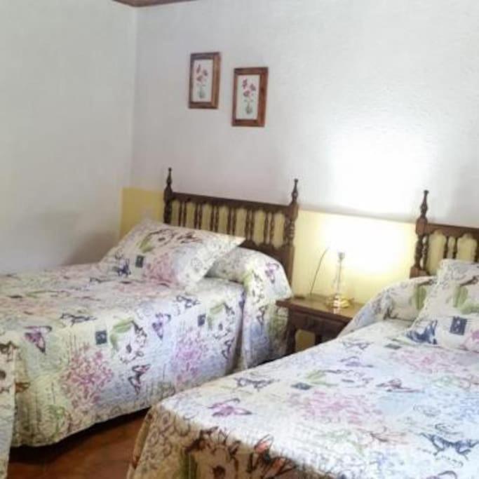 Santa Cruz de la Serós Casa Rural Barangua En El Pirineo Aragones מראה חיצוני תמונה